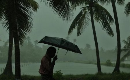 കുട എടുത്തോ മഴ വരുന്നേ! ;വ്യാഴാഴ്ച മുതല്‍ സംസ്ഥാനത്ത് മഴ, വിവിധ ജില്ലകളിൽ യെല്ലോ അല‌ർട്ട്