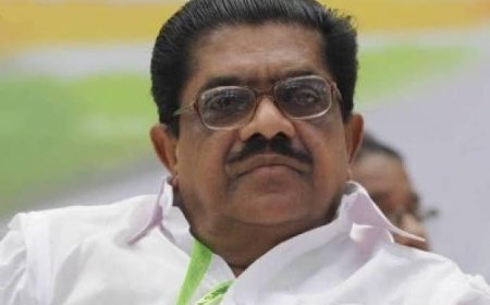 'മഹേശന്റെ ആത്മഹത്യയിൽ എസ്ഐടി വേണം, വെള്ളാപ്പള്ളി നിയമത്തെ വെല്ലുവിളിക്കുന്നു': വി.എം.സുധീരൻ