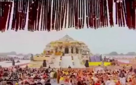 പണം എണ്ണുന്നതിനിടെ തിരിമറി; സോക്സിൽ വരെ നോട്ടുകൾ, അയോധ്യ ഫണ്ട് തട്ടിപ്പിൽ നിർണായക സിസിടിവി ദൃശ്യങ്ങൾ