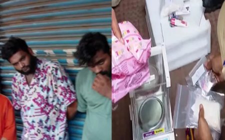പാലക്കാട് വൻ ലഹരിവേട്ട;  ഒരു കോടിയുടെ ലഹരിയുമായി ദമ്പതികളടക്കം മൂന്ന് പേര്‍ പിടിയിൽ