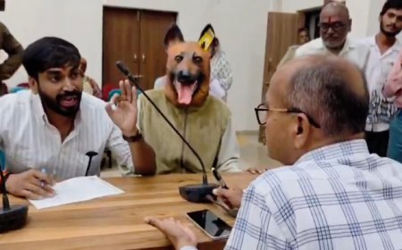നായ വന്ധ്യംകരണ പദ്ധതിയിലെ അഴിമതി; നൂതനമായ മാർഗവുമായി ഒരു രാഷ്ട്രീയക്കാരൻ