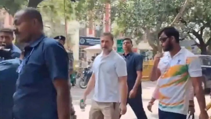 സിജെപി പ്രതിഷേധത്തിലെ പെല്ലറ്റ് ഗൺ ആക്രമണം; പോലീസ് സ്റ്റേഷനു മുന്നിൽ സമരവുമായി രാഹുൽ ഗാന്ധി