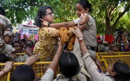 'ഞങ്ങളെന്താ രണ്ടാംകിടയോ?'; കോണ്‍ഗ്രസ് നേഹ ബോറയെ ഉയര്‍ത്തിക്കാട്ടുന്നതില്‍ എന്‍എസ് യുവിന് അതൃപ്തി